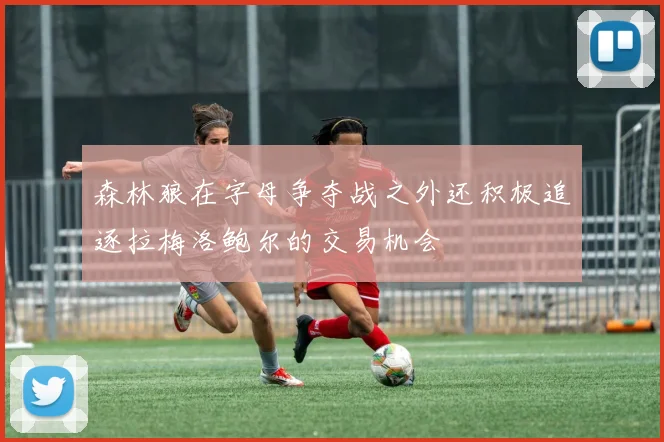 森林狼在字母争夺战之外还积极追逐拉梅洛鲍尔的交易机会