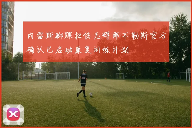 内雷斯脚踝扭伤无碍那不勒斯官方确认已启动康复训练计划